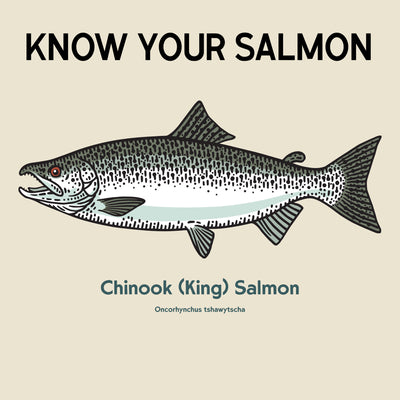 Know your Salmon: Chinook Salmon / King Salmon